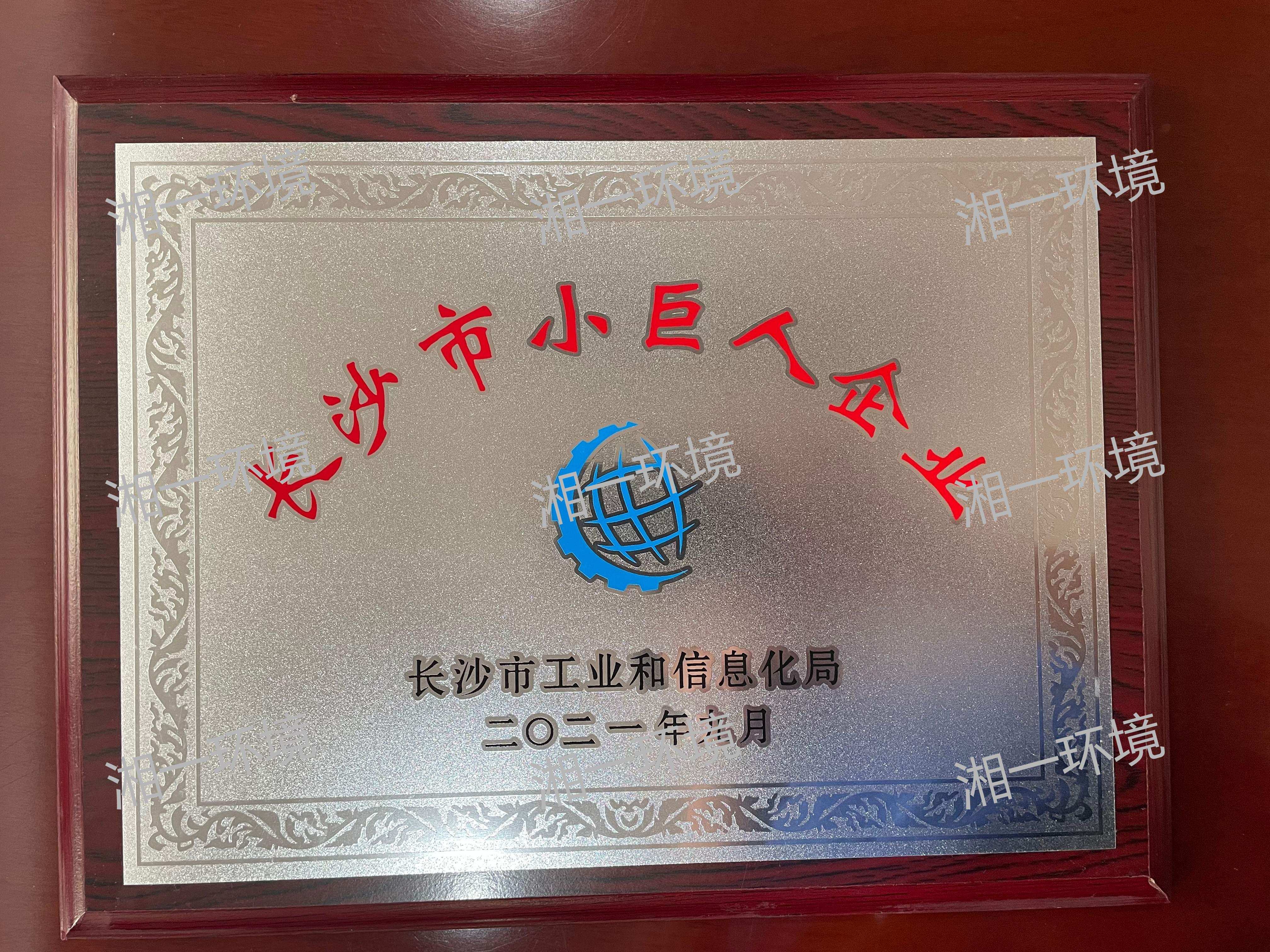 長沙市小巨人企業(yè)